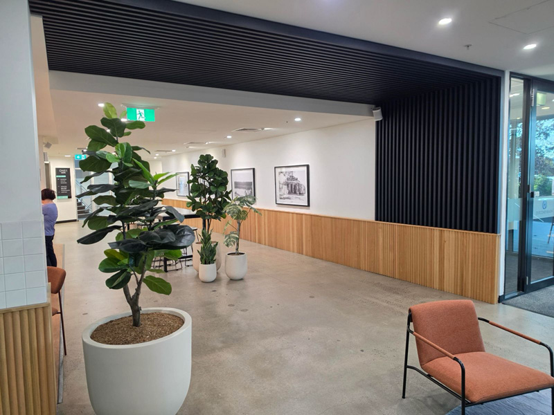 Office foyer with a polished concrete floor, timber wall panelling and pot plants